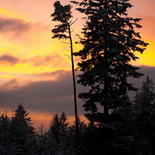 Sonnenuntergang am Buchberg